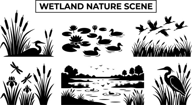 wetland nature scene with silhouettes of birds and plants