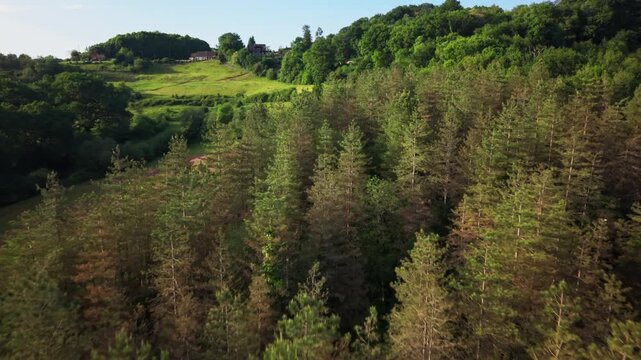 Explore the stunning forested regions of France with vibrant green trees and colorful meadows, captured from above with beauty