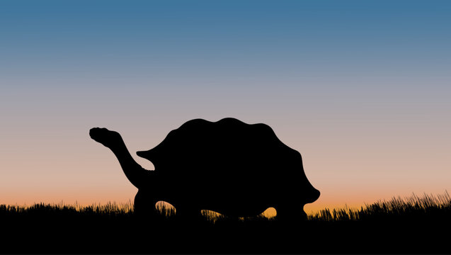 giant tortoise at sunset, color vector illustration