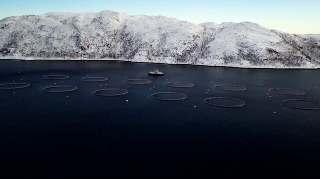 Salmon farm in arctic fjord Norway with marine pens and snowy mountains. Aerial