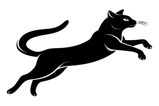 jumping cat vector portrait, jumping cat silhouette vector
