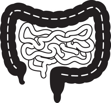 The image depicts a stylized illustration of the human small intestine.