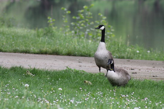 Ein Paar am Ufer