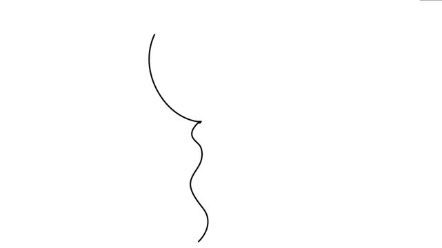Abstract line drawing evolving into an outline of a light bulb shape on a clean white background