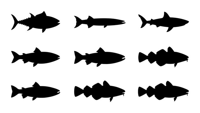 Diverse Fish Silhouettes Collection, Seafood Icons Set, Aquatic Animal Vector Graphics, Marine Life Illustrations for Design