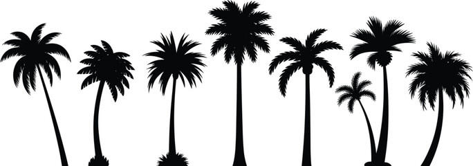 Fototapeta premium Black silhouette palm trees collection, tropical exotic island summer vacation landscape elements, beach coconut tree isolated on white background.