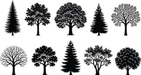 Fototapeta premium Trees silhouettes, black oak and pine plants, forest nature elements with branches and leaves isolated on white background, icons