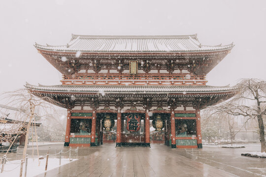 Snowy Asaka series no1