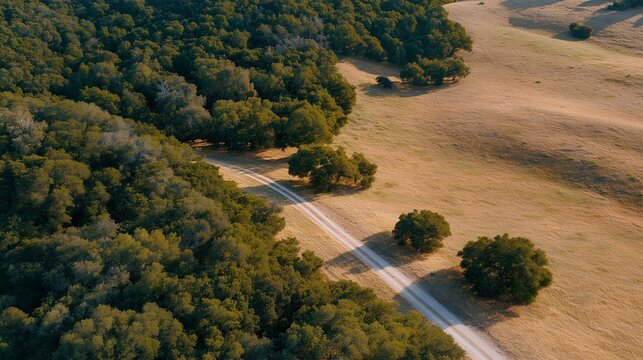 Bird's eye drone perspective of an empty rural land parcel bordered by tree lines, harsh midday sun bleaching the open field white, a single dirt access road cutting diagonally through the frame,
