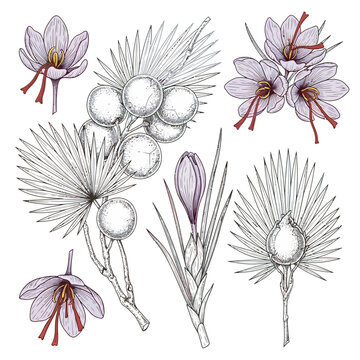 set of flowers