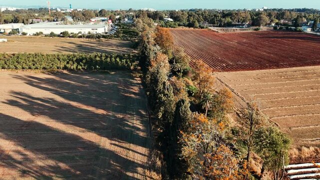 Cinematic Drone Reveal of Tree Lined Highway and Cars Traffic Flow