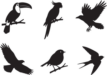 Fototapeta premium Set of six black silhouette birds flying and perched on branches isolated on transparent background, Vector