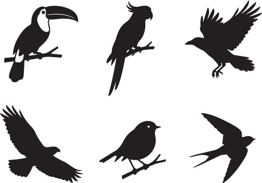 Set of six black silhouette birds flying and perched on branches isolated on transparent background, Vector