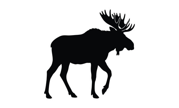 A striking black silhouette of a majestic moose in a natural pose