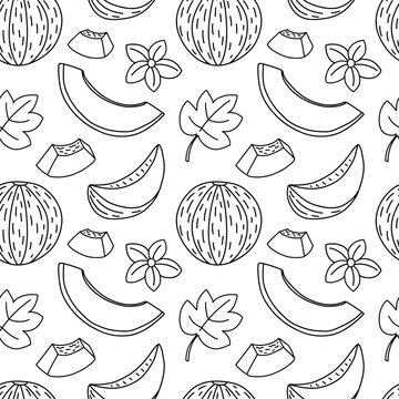 Melon sketch seamless pattern. Hand drawn pieces of melon black and white pattern