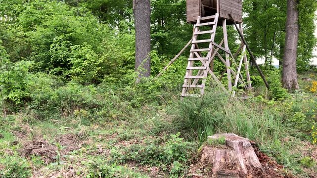 Wooden high rise stand with ladder in a forest in Westerwald Germany, Europe