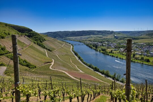 Fahrradtour an der Mosel bei Schweich und Longuisch