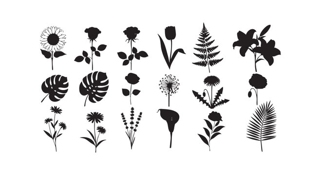 Natural floral silhouettes set with various flower shapes including roses sunflowers tulips and decorative garden plants.