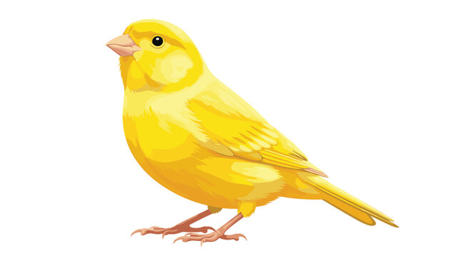 A cheerful yellow canary bird with bright plumage is perched happily, captured in a vibrant and detailed illustration.