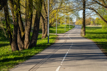 Obraz premium Winding asphalt bicycle path and pedestrian walkway through a lush green park with tall trees, representing urban recreation infrastructure and sustainable city planning