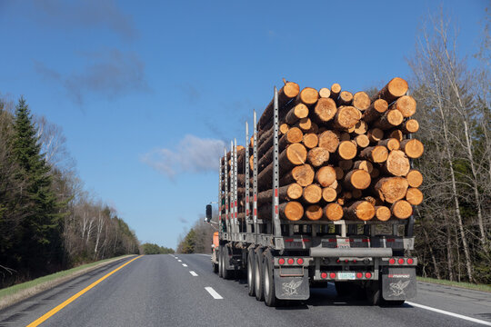 Carmel, Maine - May 7, 2026: a logging truck carrying freshly cut timber travels southbound on Interstate 95 on a beautiful spring day, reflecting the importance of the forest products industry.