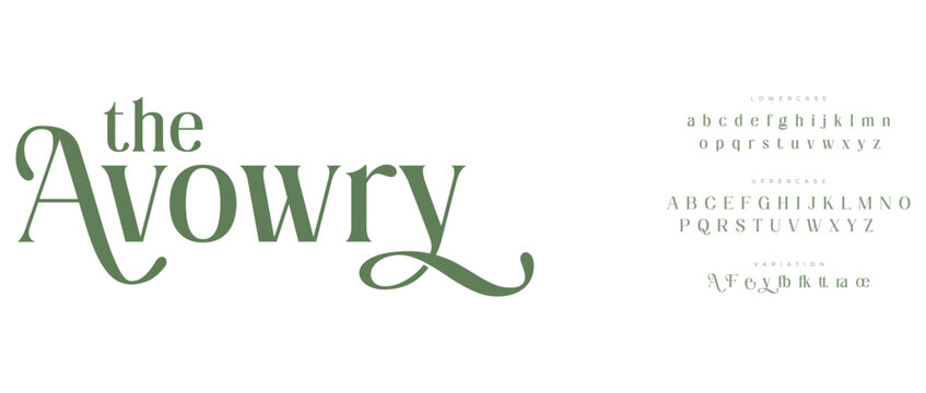 Elegant avowry script font with alphabet samples