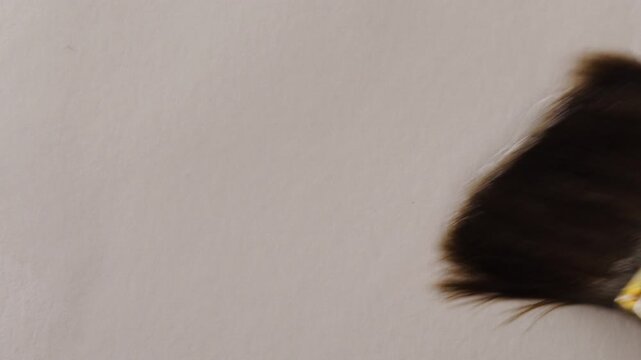 close up of wide natural squirrel painting brush watering the watercolour white paper. Slow motion video for background or overlay
