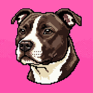 Staffordshire Bull Terrier dog head pixel art illustration in a front view with a brown and white coat isolated on a pink background for icons.
