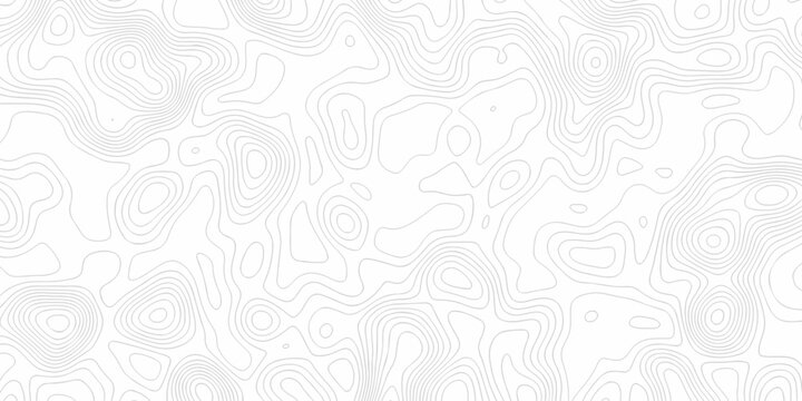 White topography map line geometric grid outline curve counter map wavy design. topography relief discovery area black spiral line space landscape texture background.
