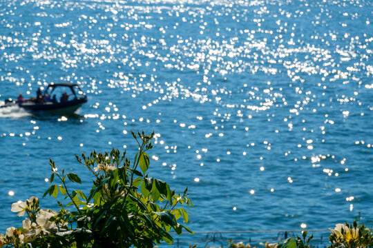 il lago in estate con riflessi argentei