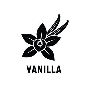 vanilla flower silhouette with leaves and pod black and white graphic design on a white background high quality professional detailed