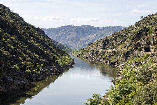 View of the Douro River winding through a steep valley with rocky slopes and green trees in Portugal.