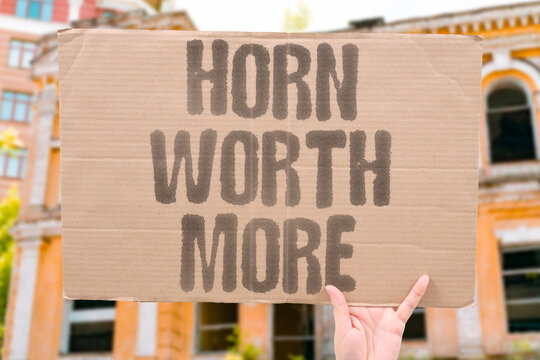 "Horn Worth More" Rhino horns command higher black market prices than gold per kilogram. RHINO. HORNS. HIGHER. BLACK. MARKET.