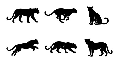 Black Panther Silhouettes Set, Wild Cat Vector Icons, Majestic Feline Poses, Elegant Big Cat Graphics, Powerful Predator Collection © Sharmin