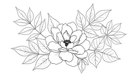 Fototapeta premium Flower botanical line art with delicate leaves and engraved ink texture for greeting cards and vintage designs