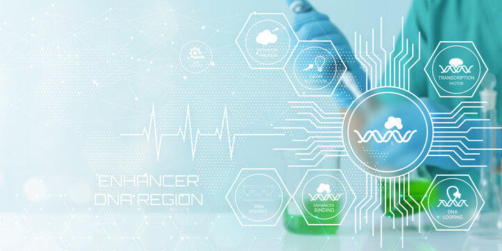 Scientist analyzing genetic transcription factors and DNA enhancer regions with futuristic technology visualization