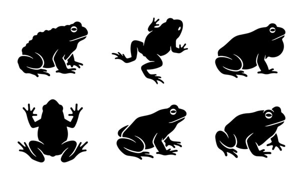 Set of Six Black Frog Silhouettes, Amphibian Vector Icons, Wildlife Animal Graphics, Pond Creature Illustrations, Nature Elements