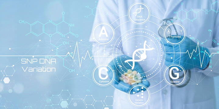 Scientist analyzing SNP DNA variation with genetic sequencing technology and molecular biology elements