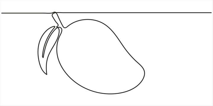 Continuous one line drawing of mango fruit with leaf.one line vector illustration with white background. 