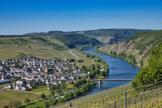 Fahrradtour an der Mosel bei Leiwen