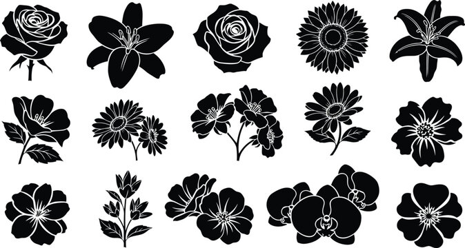 Black and white floral silhouettes, various flowers on white background
