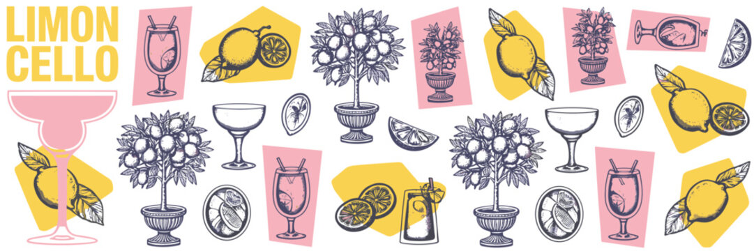 Limoncello with lemons cocktail glasses and citrus trees fruit