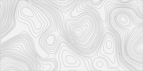 Naklejka premium Grey topographic map contour lines on white background, abstract vector geographic terrain relief pattern background