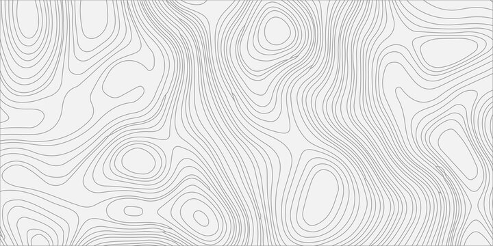 Grey topographic map contour lines on white background, abstract vector geographic terrain relief pattern background
