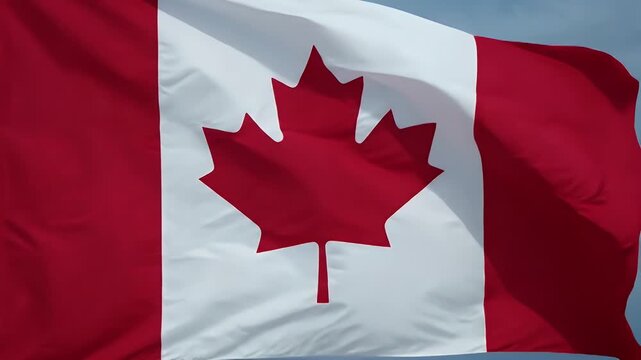 The video features the Canadian national flag waving in the breeze, showcasing the iconic red maple leaf centered on a red and white background.