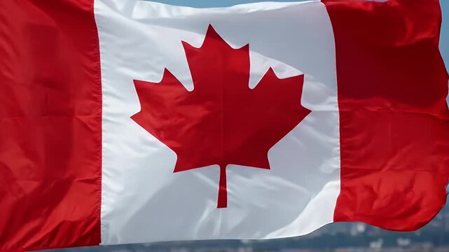 The video shows the Canadian flag, featuring a prominent red maple leaf centered on a white background, flanked by red vertical bands. The flag is fluttering against a clear blue sky.
