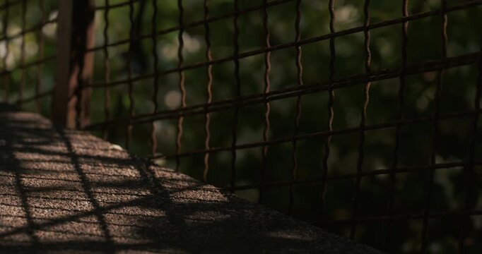 Close-up of a wire fence casting shadows on a stone surface with blurred greenery in the background in Zagreb, Croatia.