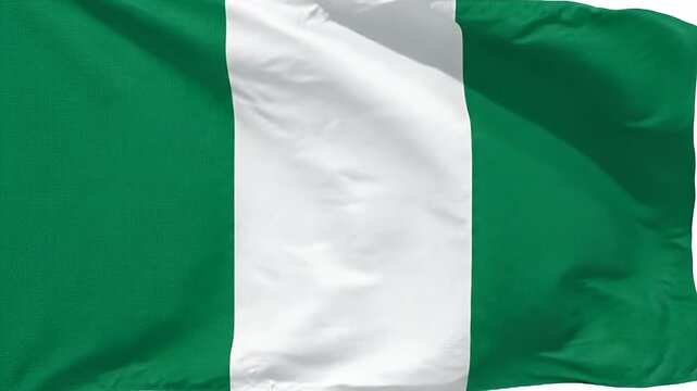 The video features the national flag of Nigeria, showcasing its iconic vertical stripes in green, white, and green. The flag is seen waving gently, symbolizing national pride and heritage.