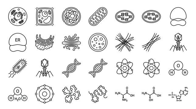 A comprehensive collection of scientific icons representing various biological and chemical structures, including cells, organelles, viruses, molecules, and atoms.
