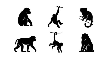 Primate silhouettes, monkey and ape vector icons, jungle animal graphics for wildlife design © NST